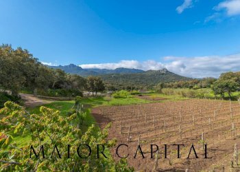 Casa indipendente Loc. la Talga, Calangianus - foto 28