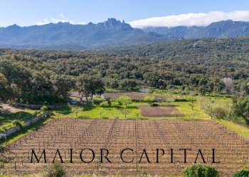 Casa indipendente Loc. la Talga, Calangianus - foto 29