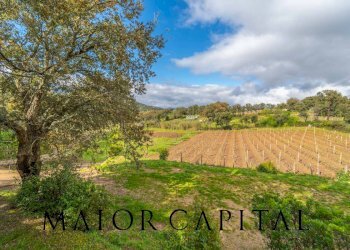 Casa indipendente Loc. la Talga, Calangianus - foto 30