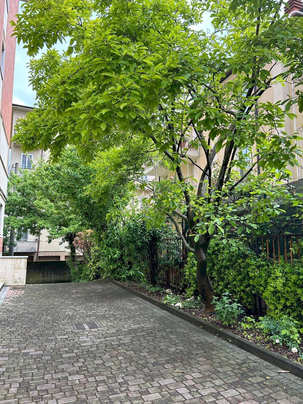 Attic Mantova - photo 2