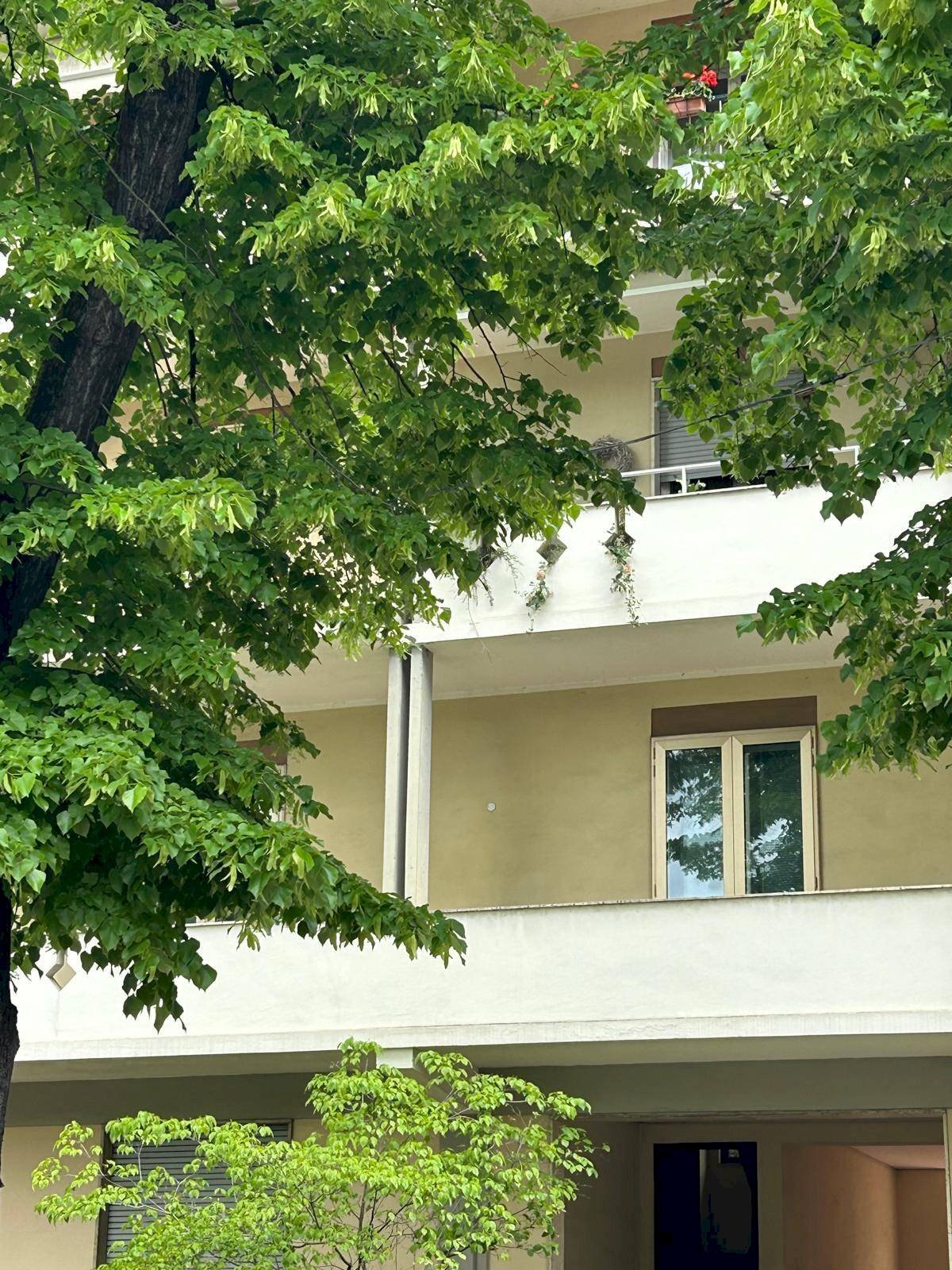 Attic Mantova - photo 3