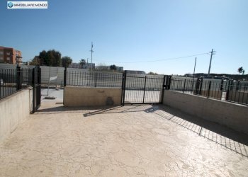 Appartamento Via dei Tulipani, Campomarino - foto 6