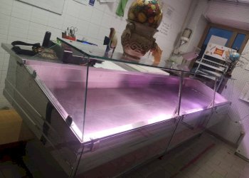 Interno non residenziale - Alimentari - Gastronomia via Salaria Vecchia, 251, Fara in Sabina - foto 2