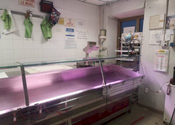 Interno non residenziale - Alimentari - Gastronomia via Salaria Vecchia, 251, Fara in Sabina - foto 4