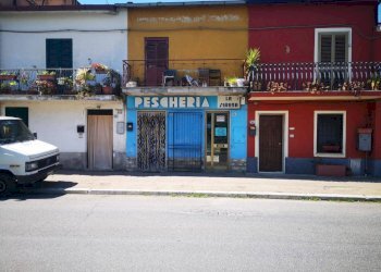 Facciata - Alimentari - Gastronomia via Salaria Vecchia, 251, Fara in Sabina - foto 8