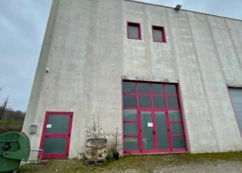 Facciata - Magazzino Vicoforte - foto 13