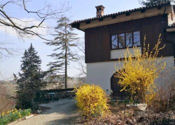 Cascina San Damiano d'Asti - foto 3