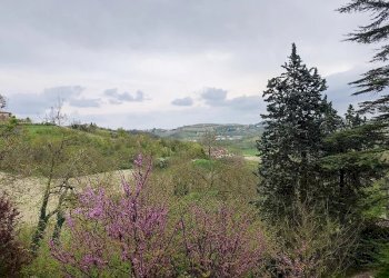 Cascina San Damiano d'Asti - foto 21