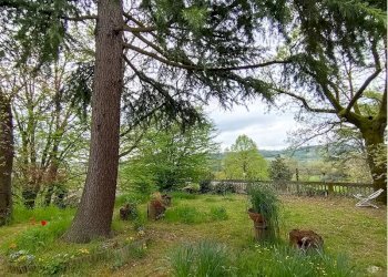 Cascina San Damiano d'Asti - foto 30