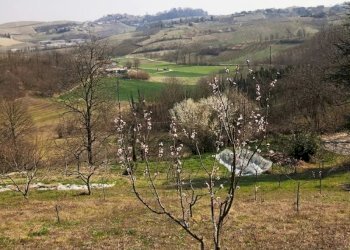 Cascina San Damiano d'Asti - foto 38