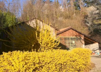 Cascina San Damiano d'Asti - foto 41