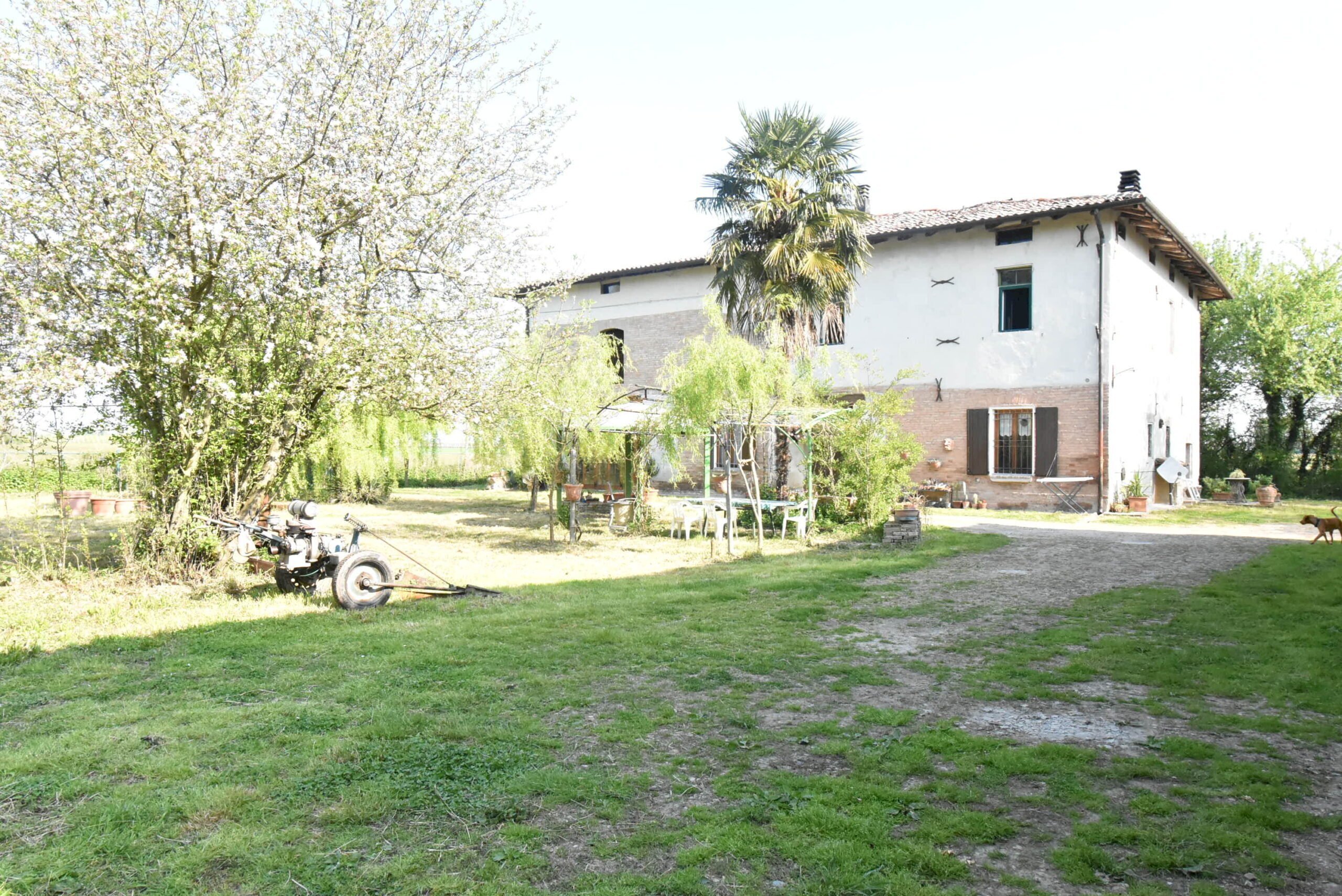 Farmhouse Castelfranco Emilia - photo 2