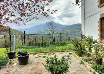 Rustic Travo - photo 2