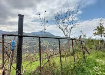 Rustic Travo - photo 17