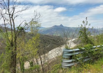 Rustic Travo - photo 18