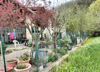 Rustic Travo - photo 95