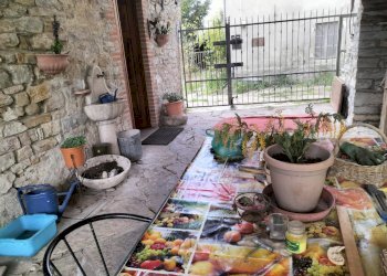 Rustic Travo - photo 19