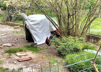 Rustic Travo - photo 28