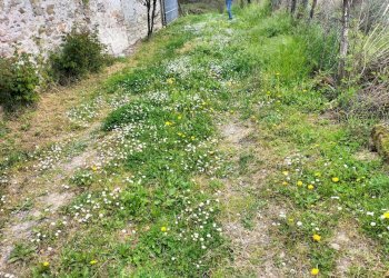 Rustic Travo - photo 38