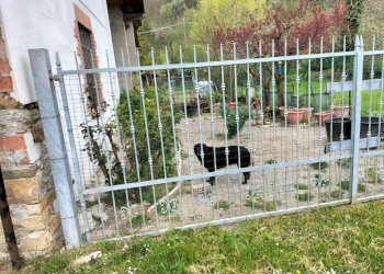 Rustic Travo - photo 46