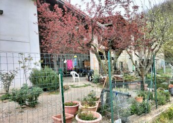 Rustic Travo - photo 48