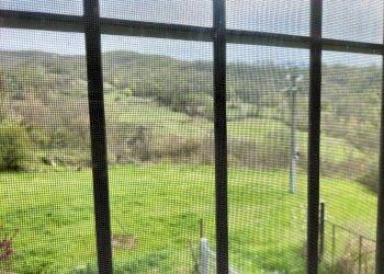 Rustic Travo - photo 53