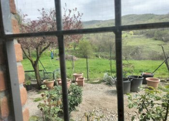 Rustic Travo - photo 59