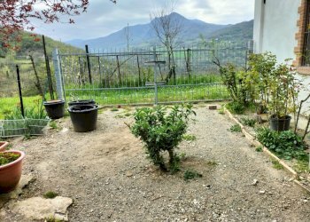 Rustic Travo - photo 79