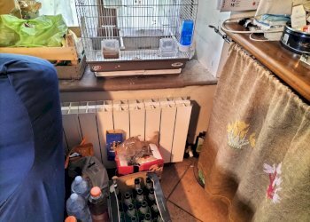 Rustic Travo - photo 82