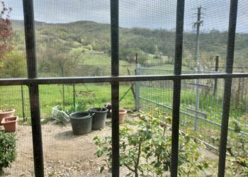 Rustic Travo - photo 87