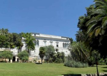 Zona - Terreno non edificabile via Giovanni Torti, 24, Genova (zona Marassi) - foto 17
