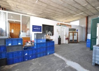 Interno non residenziale - Capannone via Fontana, 55, Feletto - foto 5