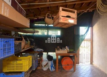 Cantina - Casa indipendente Località Viola, 1, Prascorsano - foto 13