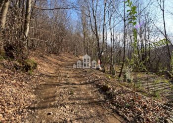 Terreno - Casa indipendente Regione Scheè, 1, Vistrorio - foto 36