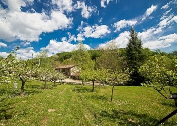 Villa Tarzo - foto 17