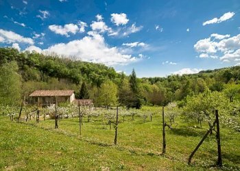 Villa Tarzo - foto 19