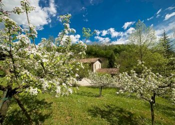 Villa Tarzo - foto 21