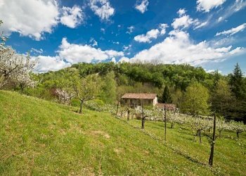 Villa Tarzo - foto 26