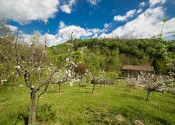 Villa Tarzo - foto 28