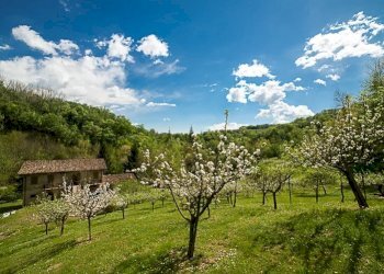 Villa Tarzo - foto 30