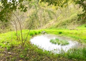 Villa Tarzo - foto 35