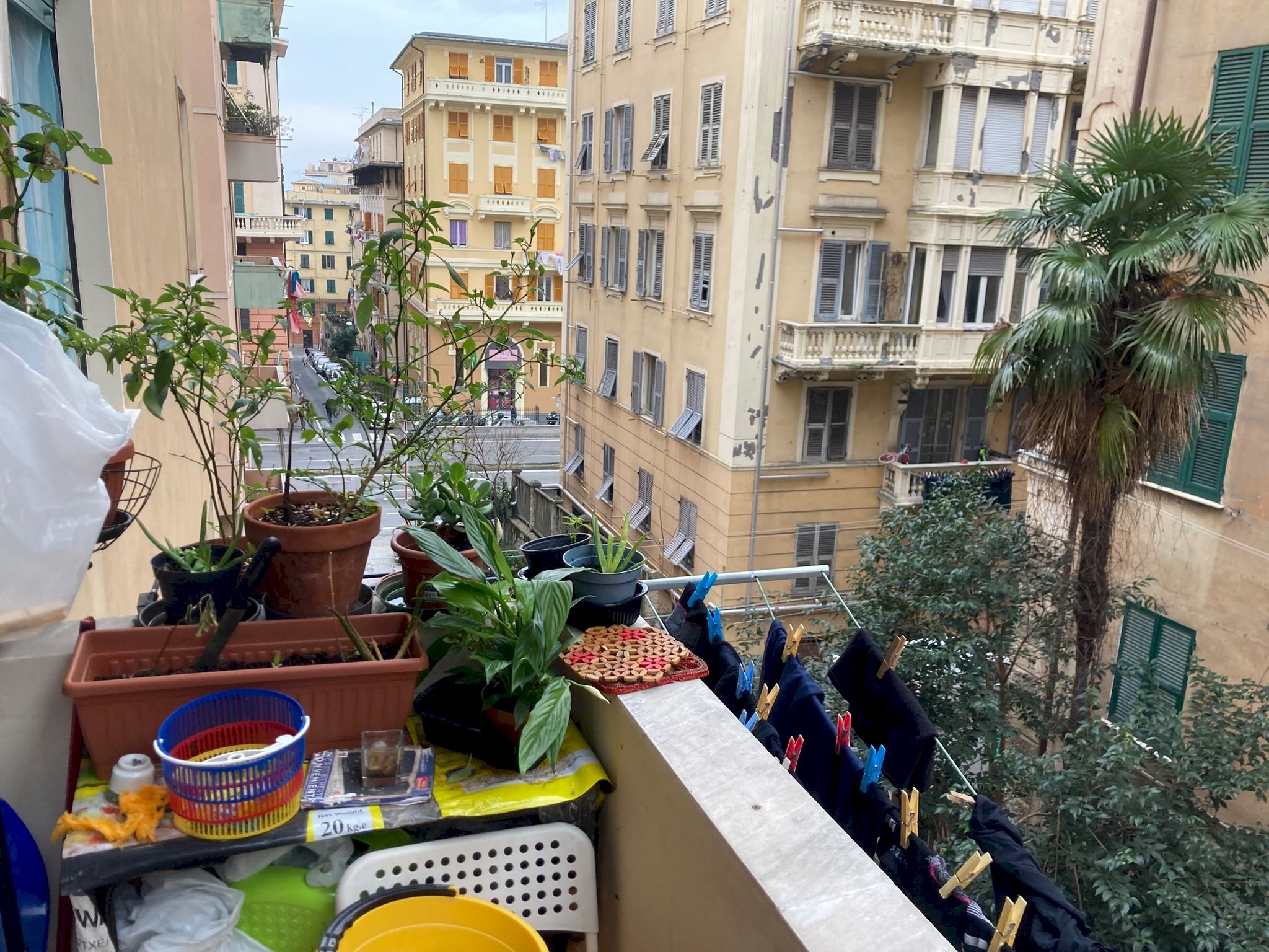 Quadrilocale via Gerolamo Pittaluga, Genova (zona Sampierdarena) - foto 1