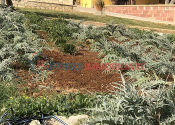 Villa Via delle Vestali, Sonnino - photo 2