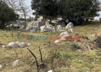 Villa Via delle Vestali, Sonnino - photo 3