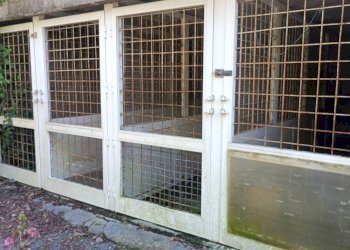 Quadrilocale Cairo Montenotte - foto 12