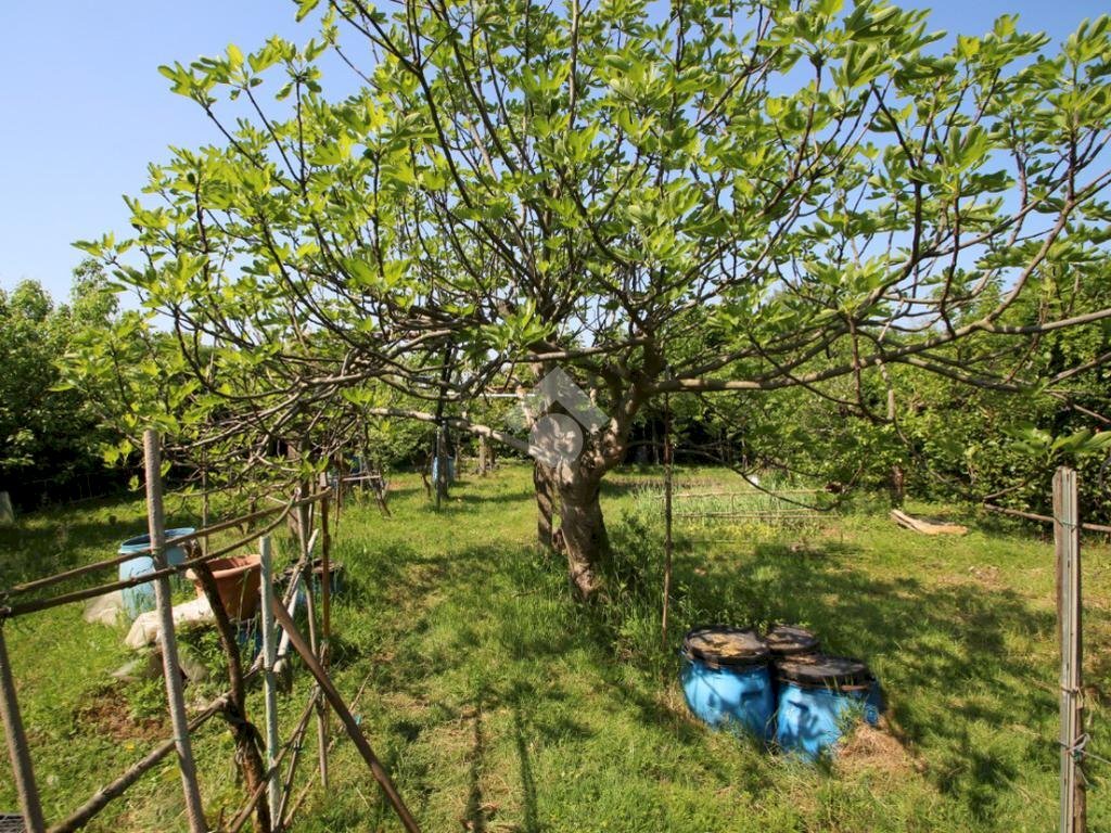 Terreno agricolo Via Fametta, Garbagnate Milanese - foto 1