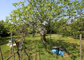 Terreno agricolo Via Fametta, Garbagnate Milanese - foto 1