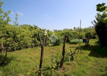 Terreno agricolo Via Fametta, Garbagnate Milanese - foto 7