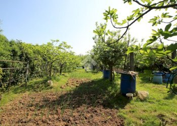 Terreno agricolo Via Fametta, Garbagnate Milanese - foto 8