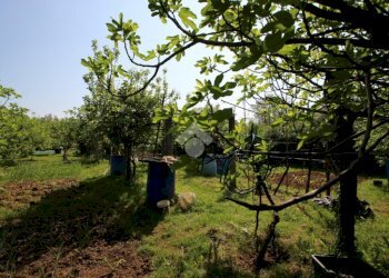 Terreno agricolo Via Fametta, Garbagnate Milanese - foto 9